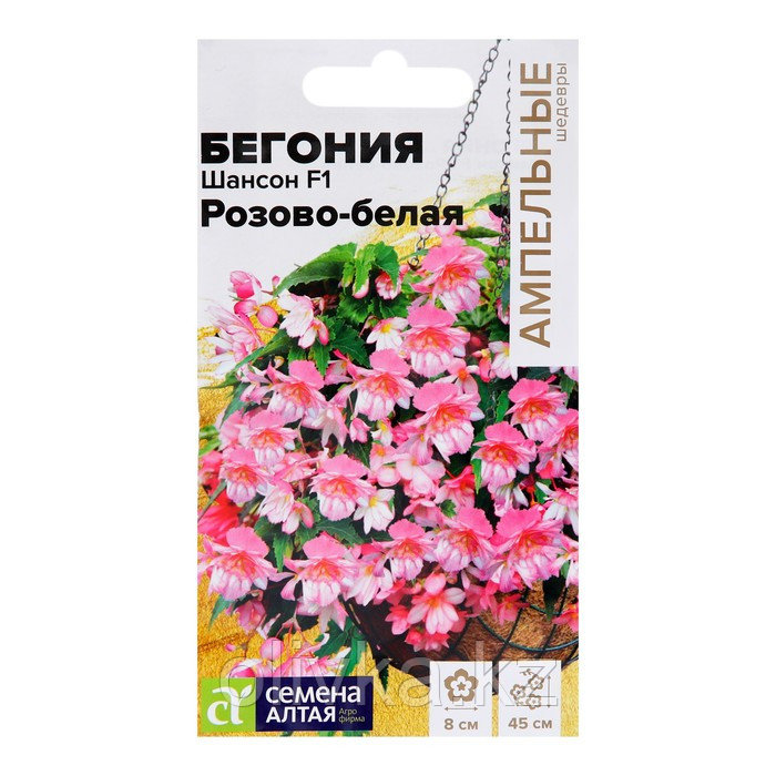 Где В Хабаровске Купить Цветы Бегония