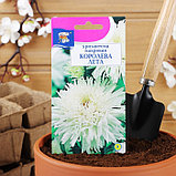 Семена цветов Хризантема многоцветковая "КОРОЛЕВА ЛЕТА", 0,03 г, фото 3