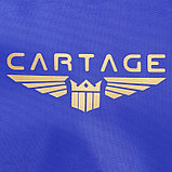 Термосумка Cartage Т-12, синяя, 17-18 литров, 35х21х24 см, фото 6
