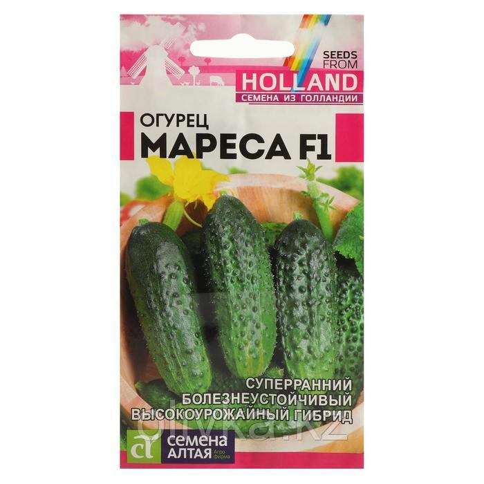 Семена Огурец "Мареса", Seminis, F1, Сем. Алт, ц/п, 5 шт