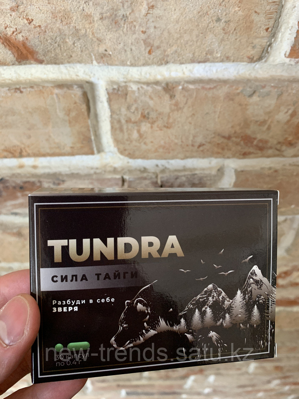 Препарат тундра для мужчин отзывы. Препарат тундра для потенции. Tundra сила тайги капсулы. Tundra таблетки для мужчин. Тундра таблетки для повышения потенции.