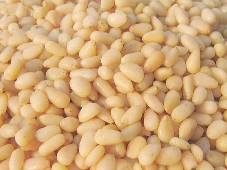 Жалаңаш Фергиді қараңыз Жалаңаш Фергиді қараңыз