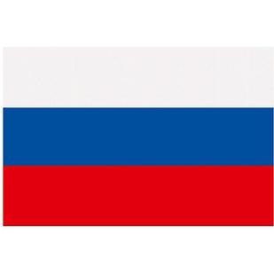Флаг 60х90см Российской Федерации без флагштока fl11c