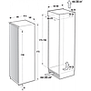 Встраиваемый   холодильник    Gorenje RI 2181 A1, фото 2