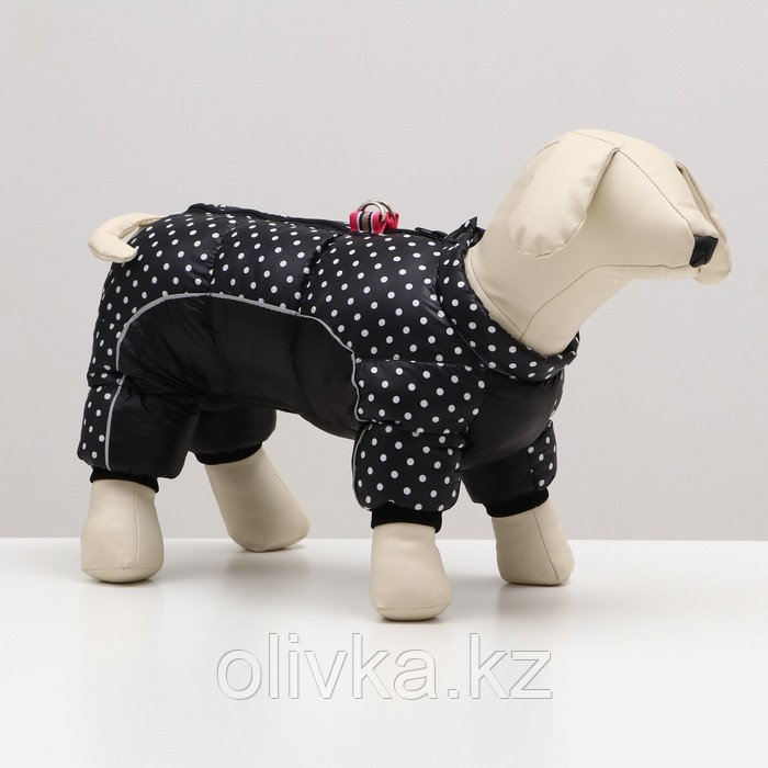 Комбинезон для собак "Горошек", размер 8 (ДС 23, ОГ 30, ОШ 22 см), чёрный - фото 1 - id-p105784897