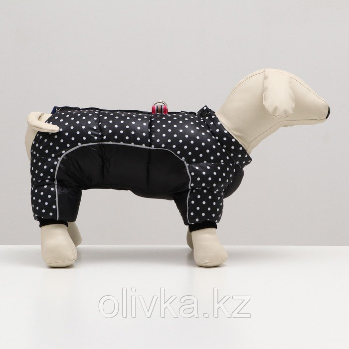 Комбинезон для собак "Горошек", размер 8 (ДС 23, ОГ 30, ОШ 22 см), чёрный - фото 2 - id-p105784897