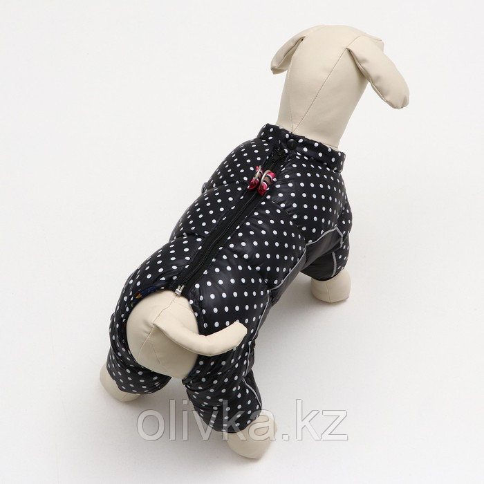 Комбинезон для собак "Горошек", размер 8 (ДС 23, ОГ 30, ОШ 22 см), чёрный - фото 3 - id-p105784897