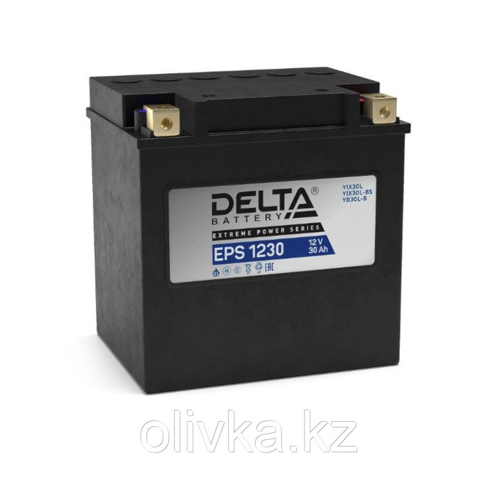 Аккумуляторная батарея Delta EPS 1230 (YTX30HL-BS, YTX30L-B, YTX30L) 12 В, 30 Ач обратная (- +) 20 - фото 1 - id-p105777736
