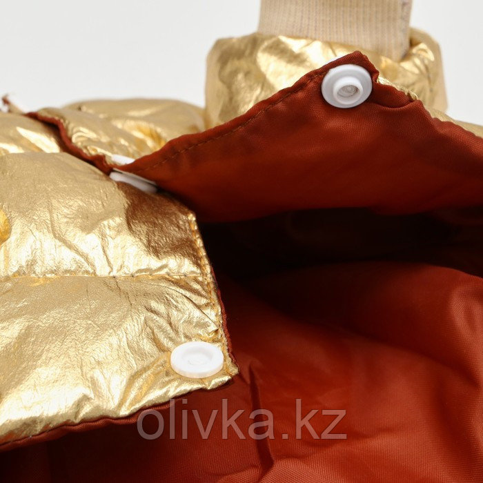 Комбинезон "Космонавт", размер 8 (ДС 23 см, ОГ 30, ОШ 22 см), золотой - фото 9 - id-p105782504
