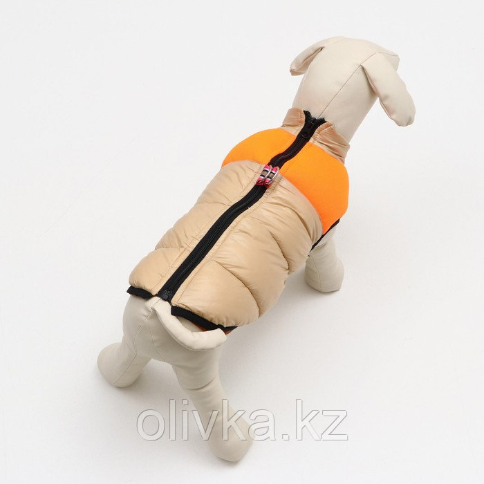 Куртка для собак на молнии, размер 14 (ДС 32 см, ОГ 42 см, ОШ 31 см), бежевая с оранжевым - фото 3 - id-p105782511