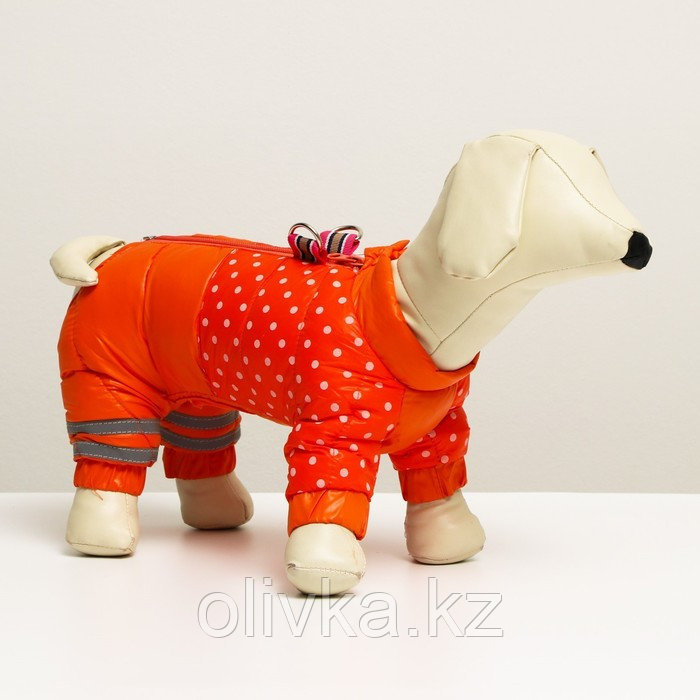 Комбинезон для собак "Горошек", размер 12 (ДС 25, ОГ 36, ОШ 28 см), рыжий - фото 1 - id-p105782525