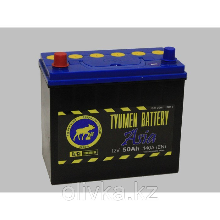 Аккумуляторная батарея Тюмень 50 Ач 6СТ-50L Азия, прямая полярность - фото 1 - id-p105784218