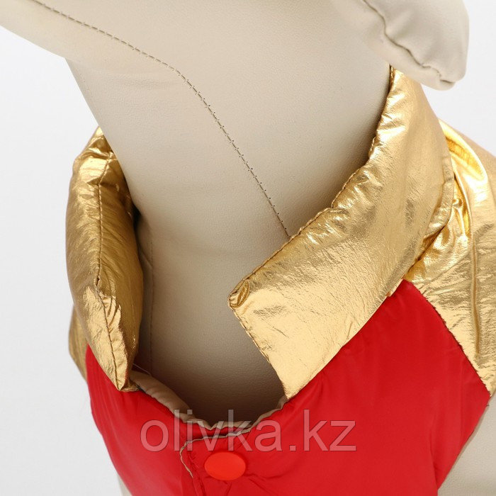 Куртка для собак с утяжкой размер 10 (ДС 25, ОГ 34,ОШ 24), золото-красная - фото 4 - id-p105785126