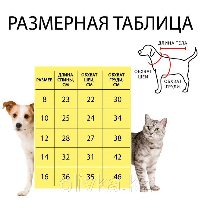 Комбинезон принтованный с замком на спине, размер 12 (ДС 28, ОГ 38, ОШ 27 см), красный - фото 4 - id-p105782774