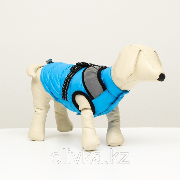 Куртка для собак со светоотражающей шлейкой, размер 12 (ДС 28, ОГ 38, ОШ 27), голубая - фото 1 - id-p105782123