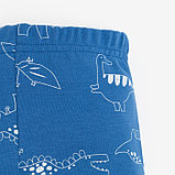Комплект: джемпер и брюки Крошка Я "Dino", рост 74-80 см, цвет синий, фото 6