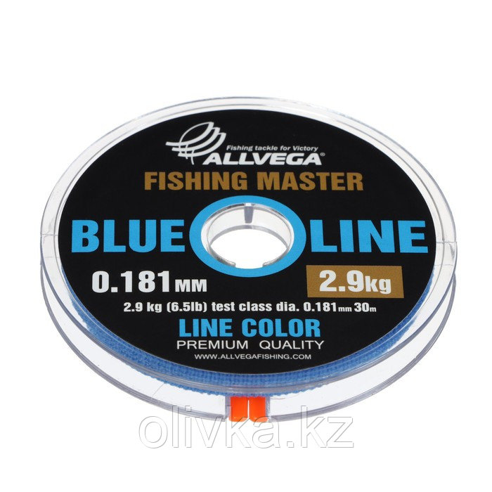 Леска монофильная ALLVEGA Fishing Master, диаметр 0.181 мм, тест 2.9 кг, 30 м, голубая
