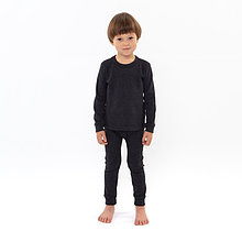Комплект термобелья ( джемпер, брюки) для мальчика, цвет серый, рост 110 см