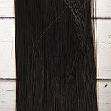 Волосы - тресс для кукол «Прямые» длина волос: 25 см, ширина:100 см, цвет № 1В, фото 2
