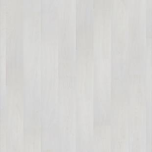 Ламинат White Sherwood Oak / Дуб Шервуд белый (класс 33/ 8 мм / без фаски) TARKETT. - фото 1 - id-p105794946