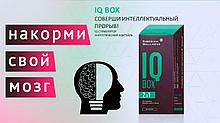 IQ Box / Интеллект IQ Box / Интеллект IQ Box / Интеллект IQ Box / Интеллект Набор Daily Box - IQ Box / Интелле