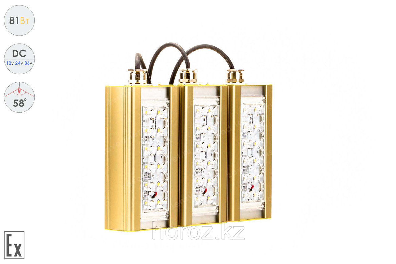 Низковольтный светодиодный светильник Прожектор Взрывозащищенный GOLD, консоль K-3 , 81 Вт, 58°