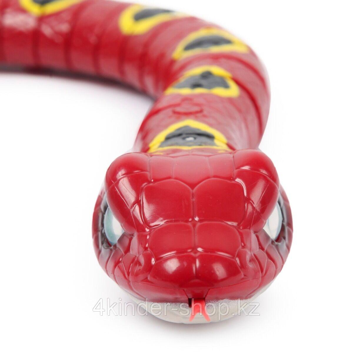 Игрушка Zuru Ползущая Змея, Красная Robo Alive - фото 4 - id-p105820913