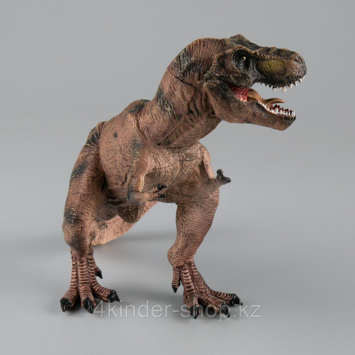 Игрушка Набор Хищные динозавры R XGL - фото 5 - id-p105821069