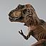 Игрушка Набор Хищные динозавры R XGL, фото 7