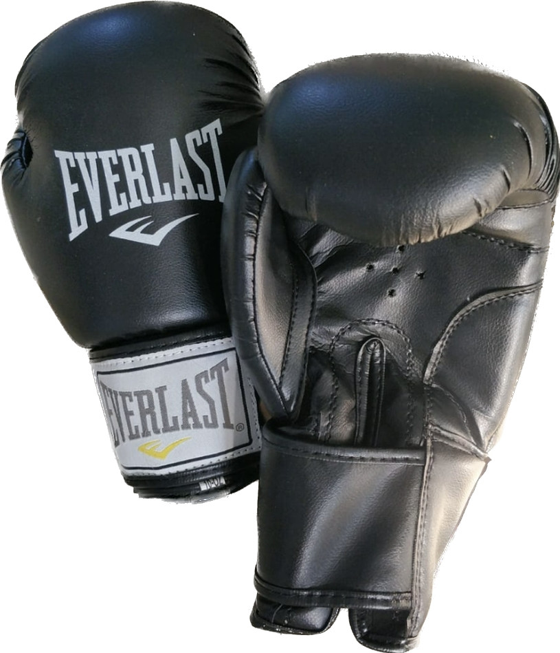 Боксерские перчатки Everlast