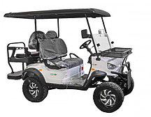 Гольфкар GreenCamel Linhai YK50EG (48V 3950W)