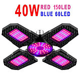 Фитолампа четырехлепестковая E27 красно-синий спектр уценка, фото 2