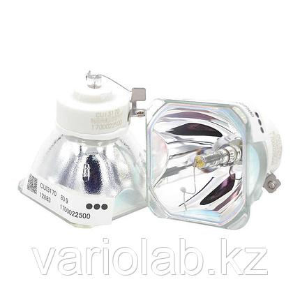 Лампа USHIO NSHA330YT Оригинал!, фото 1