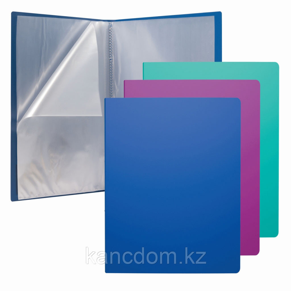Папка пластиковая 60 вкладышей А4 Ассорти