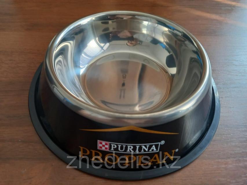 Шашты нудистердің эротикасы