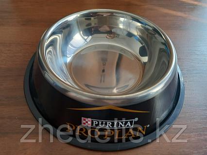 Мен өзімді үйде қалай сиқы аламын?