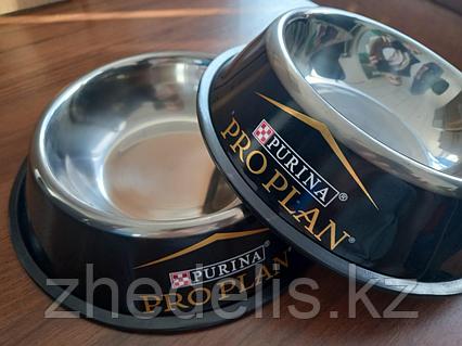 Қызыммен жыныстық қатынас