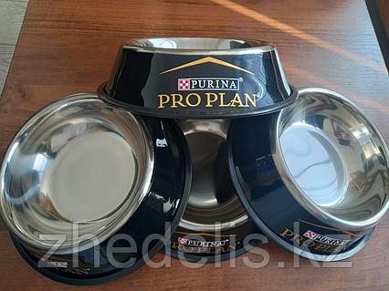 Ескі әйелдер анал порно Юбкадағы сексуалды қыздар онлайн