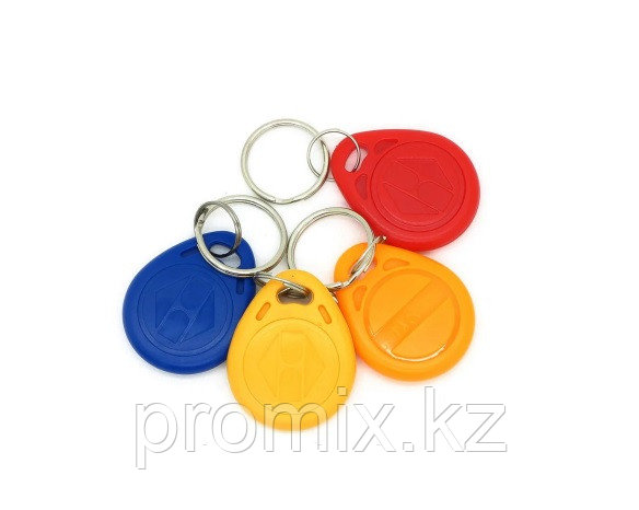 Перезаписываемые домофонные ключи, пустышки EM4305, T5577 - фото 2 - id-p106015142