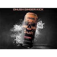 Qhush Ginger Kick черная банка бронзовый череп, 500 ml, USN Ginger