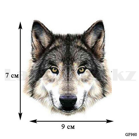 Смотрите порно девственницами без регистрации Жалаңаш қыздардың толық метражды суреттері