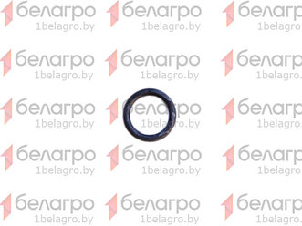 016-021-30-2-2 Кольцо уплотнительное, Беларусь
