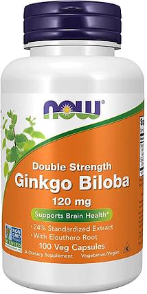 Ginkgo Biloba 120 mg, 100 veg.caps, NOW, фото 1