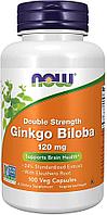 Ginkgo Biloba 120 mg, 100 veg.caps, NOW