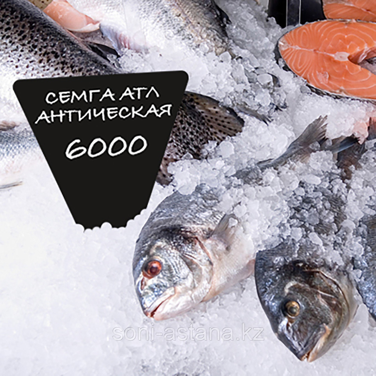 Треугольный ценник для рыбы на льду, 120*180мм, фото 1