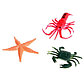 Морские животные с обучающими карточками Подводный мир, карточки, по методике Монтессори, фото 4