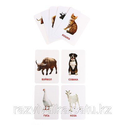 Домашние животные с карточками, по методике Домана - фото 5 - id-p106053393