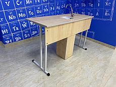 Стол ученика (парта) - "Стандарт" с раковиной (для Кабинета Биологии, Химии)