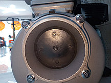 Мотопомпа бензиновая GRANDFAR GF100-G, фото 2