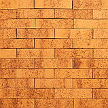 Тайга Морошка облицовочный кирпич евро 0,7 Нф, фото 3